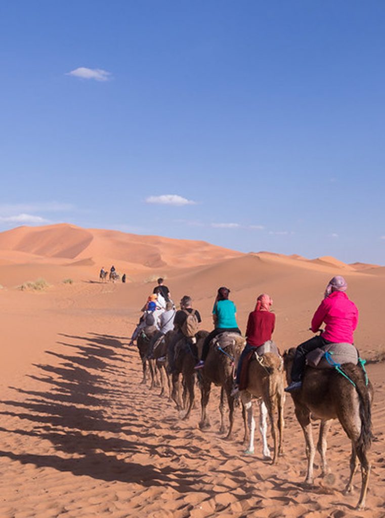 1 Night Merzouga Camel Trekking